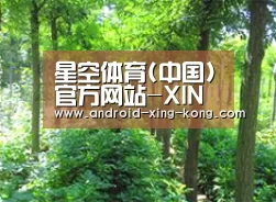 种植基地九