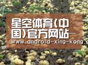 种植基地八(图1)