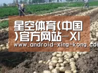 种植基地七(图1)